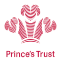 [CSG] - Princes Trust